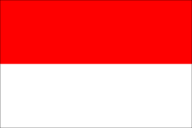 ConnectViet Indonesia